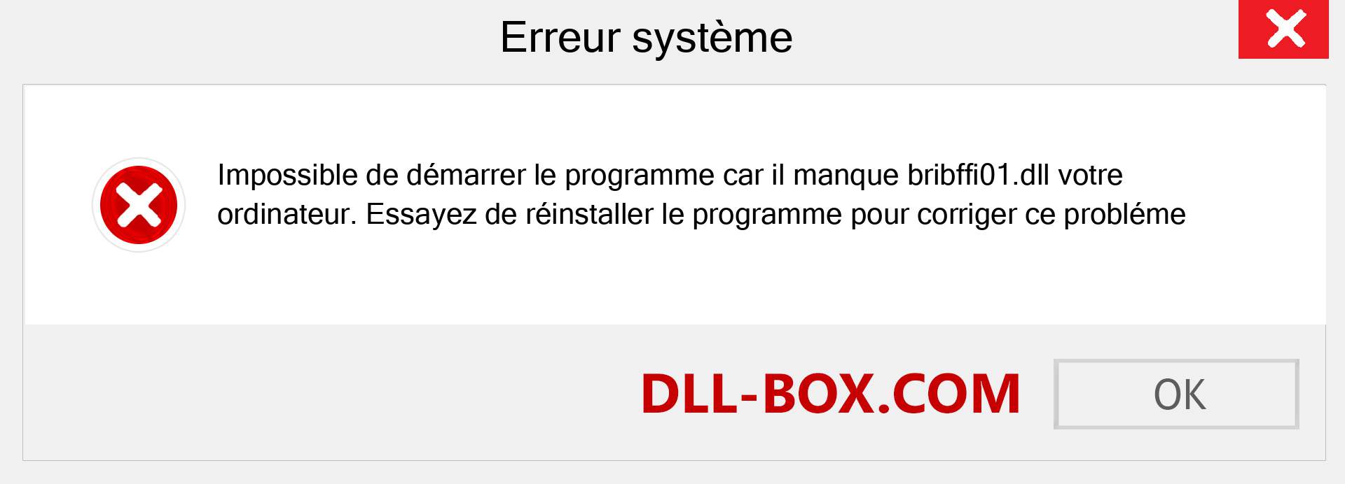 Le fichier bribffi01.dll est manquant ?. Télécharger pour Windows 7, 8, 10 - Correction de l'erreur manquante bribffi01 dll sur Windows, photos, images